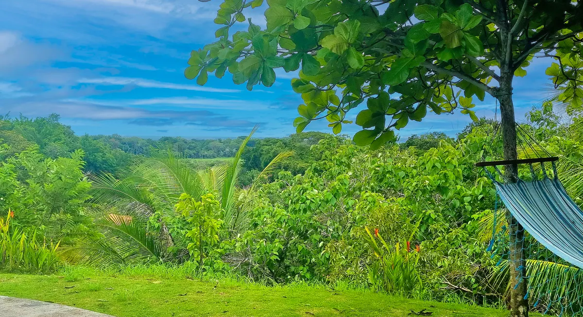 Hammock with spectacular view of the misty valley below