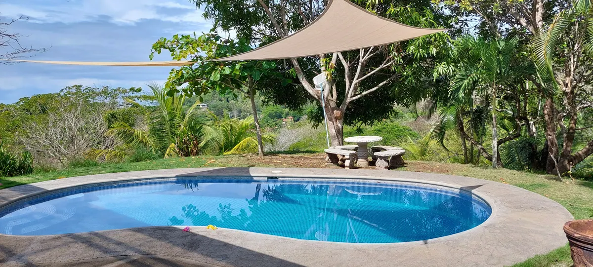 Stunning private pool with shade sail and jungle backdrop