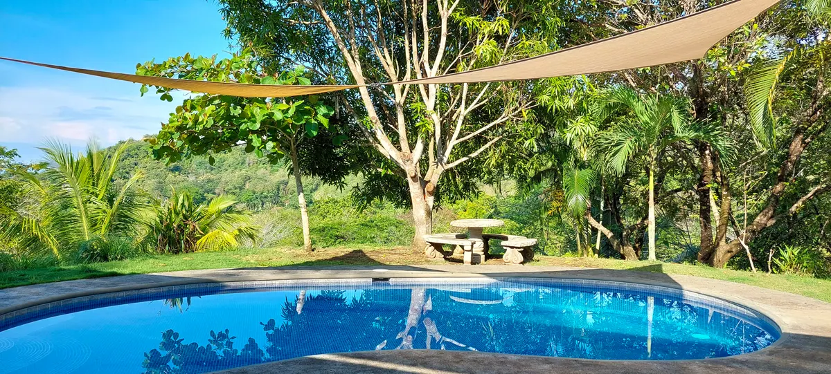 Curved pool under a shade sail with stone table and jungle view