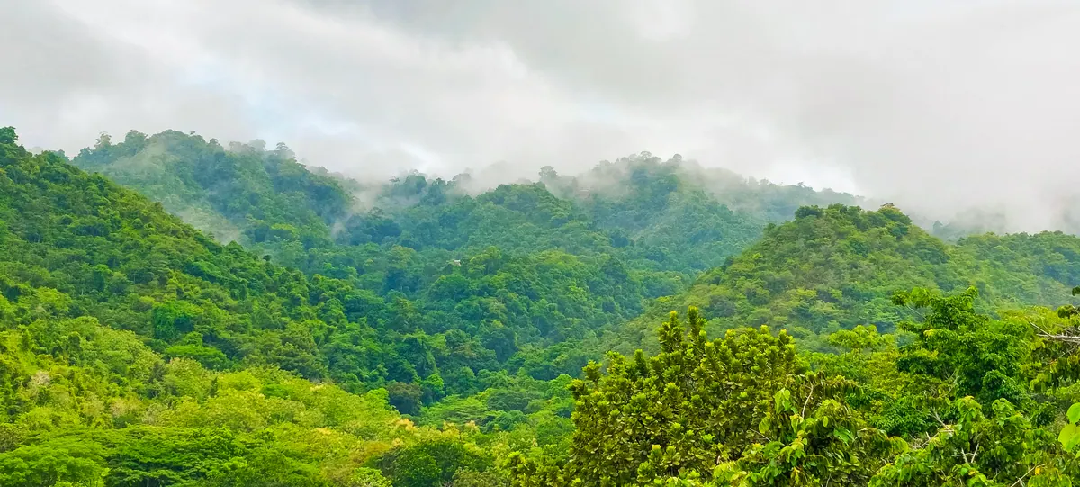 Misty morning valley view from the villa with layers of jungle mountains